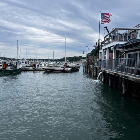 Reimagining U.S. Fisheries: From Crisis Management to Sustainable Growth