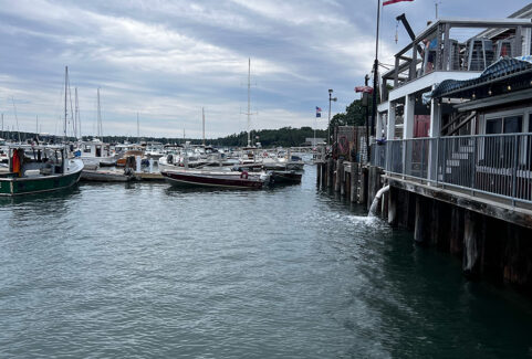 Reimagining U.S. Fisheries: From Crisis Management to Sustainable Growth